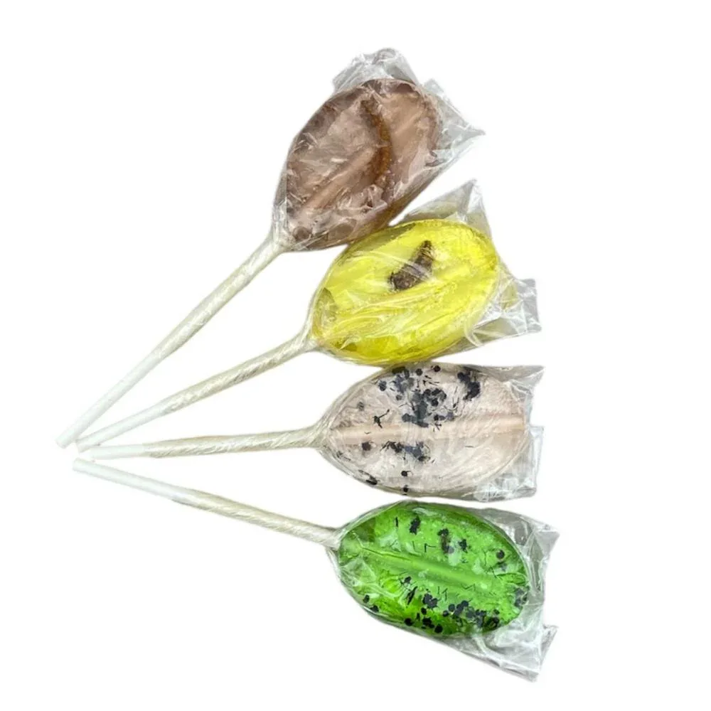 BugBites Real Australian Edible Lollipop - set of 4 - Image 2
