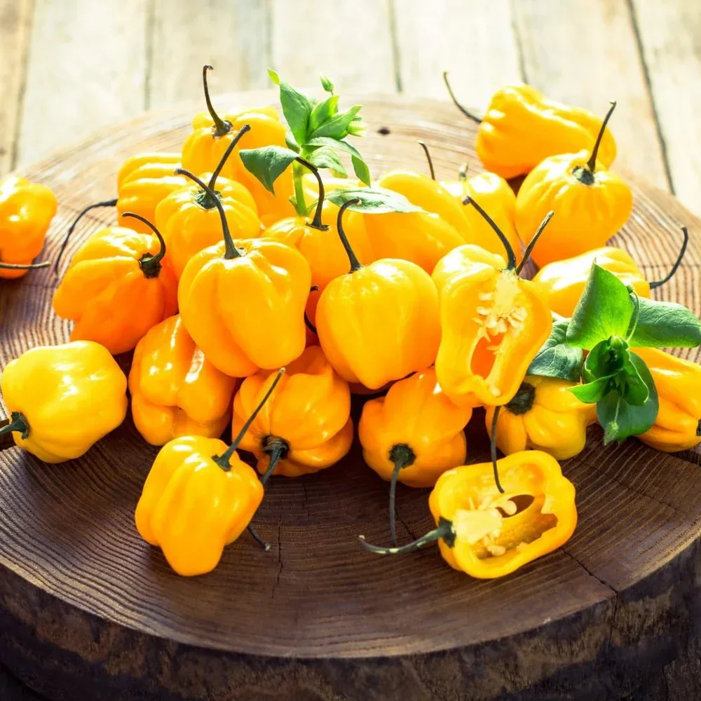 Seeds - Chile Habanero Yellow