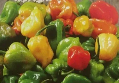 Seeds - Chile Habanero Mixed