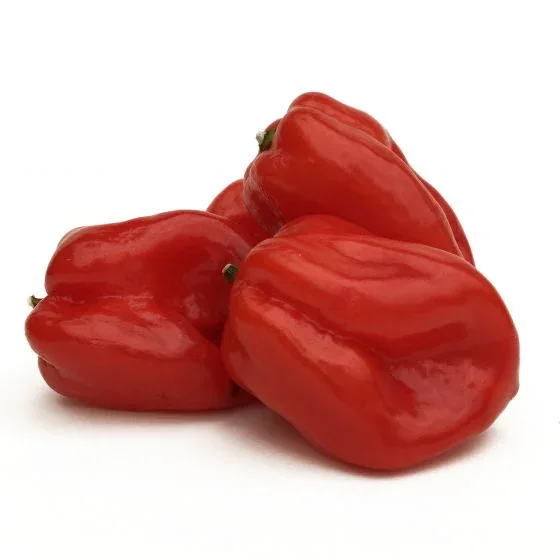 Seeds - Chile Habanero Red - Image 2